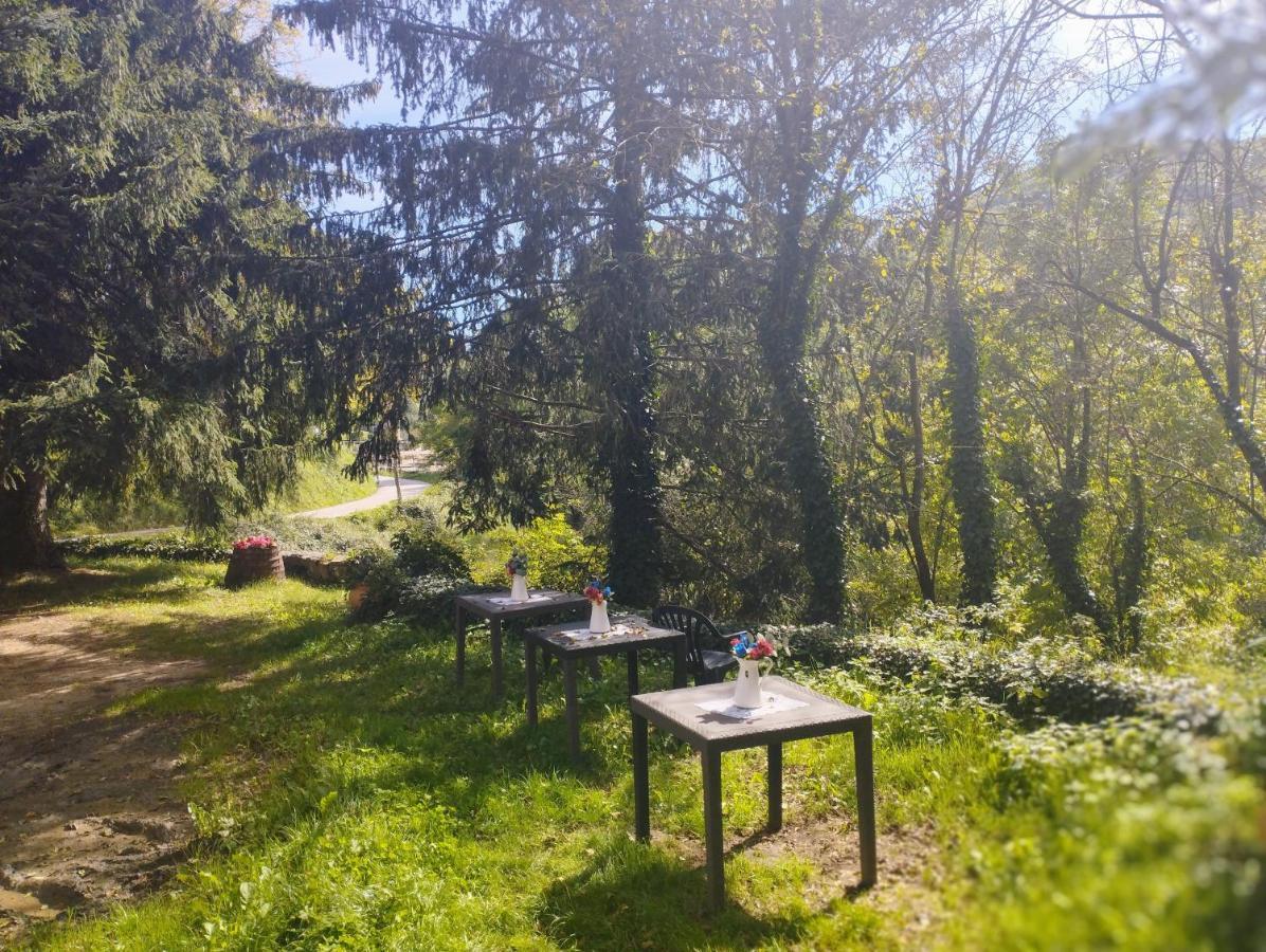 Hostal La Vall Сант Пау де Сегуриес Екстериор снимка